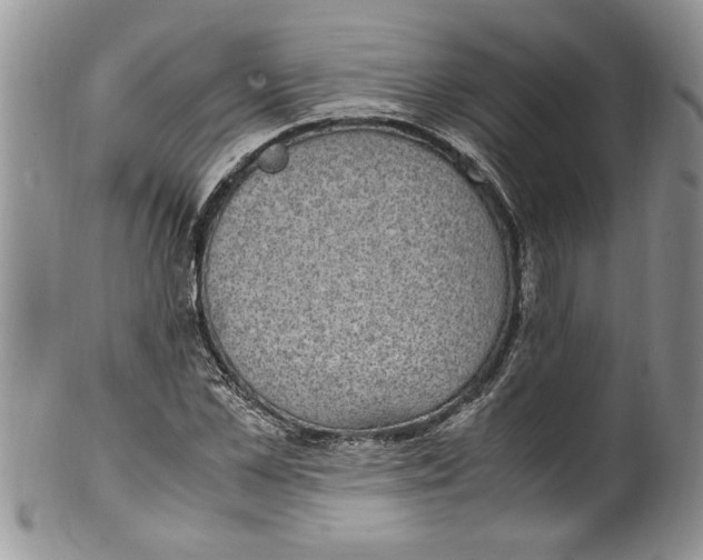 X0000100420973200806201819