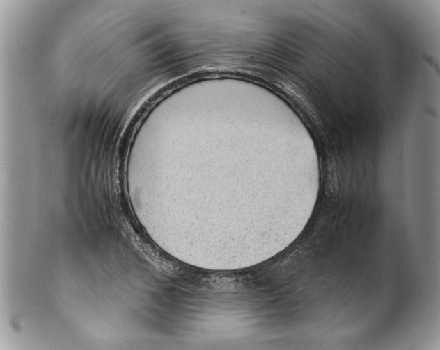 X0000100420976200806201819