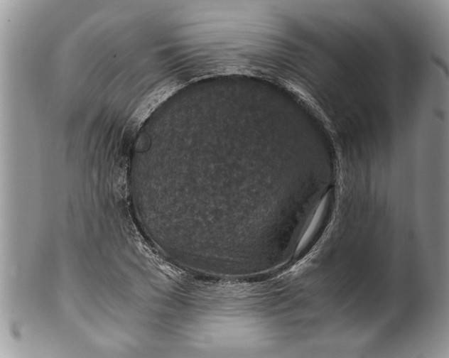 X0000100420977200806201819