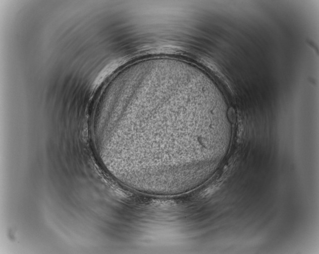 X0000100420978200806201819