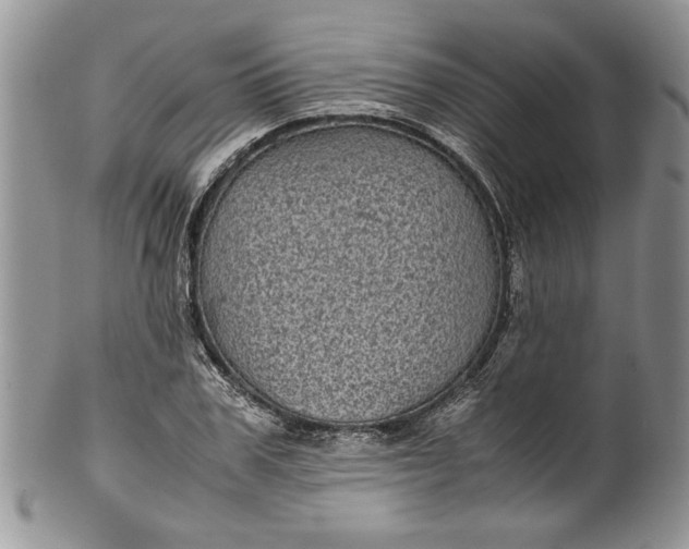 X0000100420979200806201819