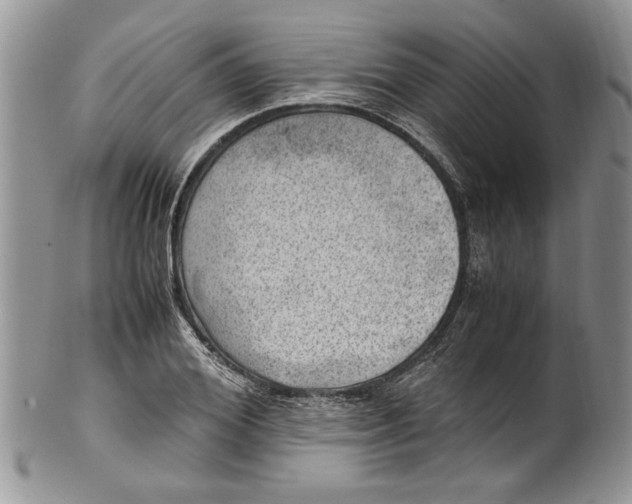 X0000100420980200806201819