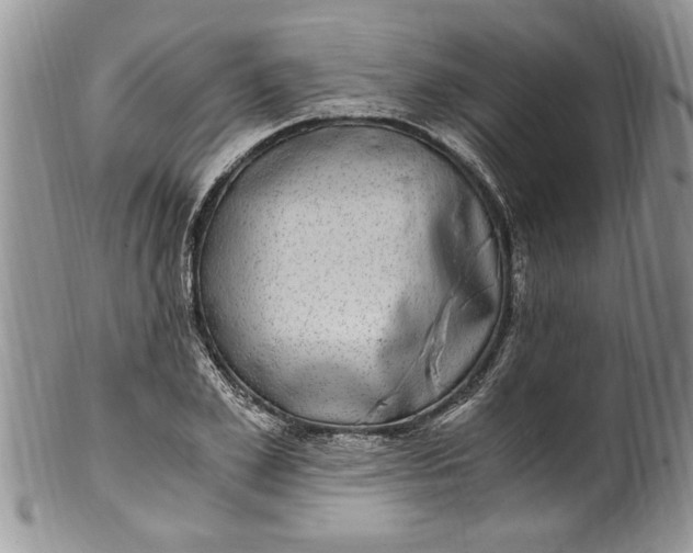 X0000100420981200806201819
