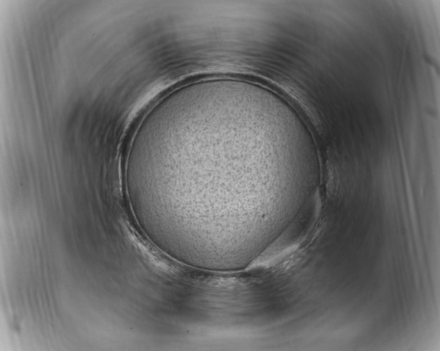 X0000100420982200806201819