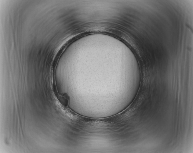 X0000100420984200806201819