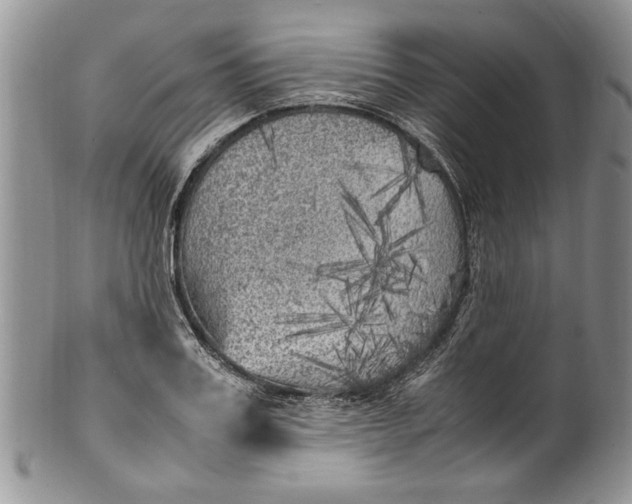 X0000100420987200806201819