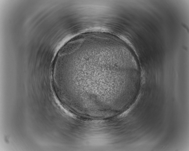 X0000100420989200806201819