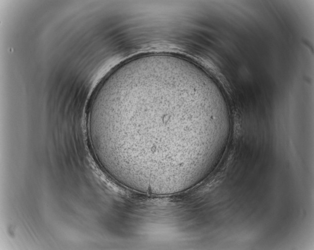 X0000100420990200806201819