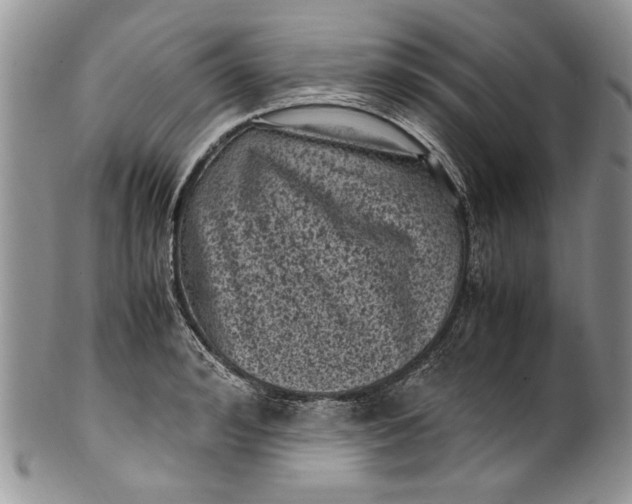 X0000100420992200806201818