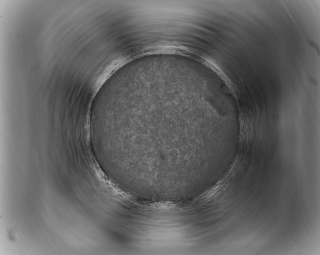 X0000100420994200806201818