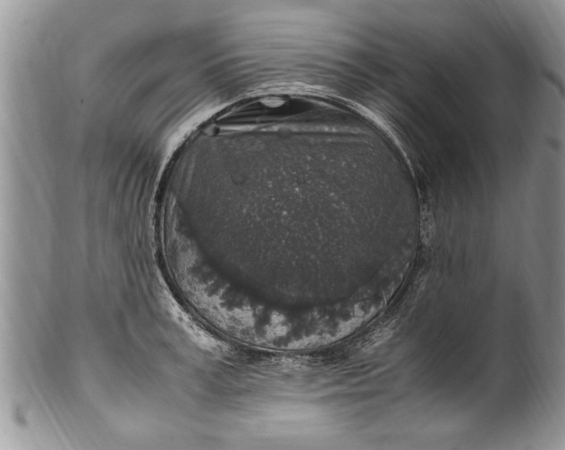 X0000100420995200806201818