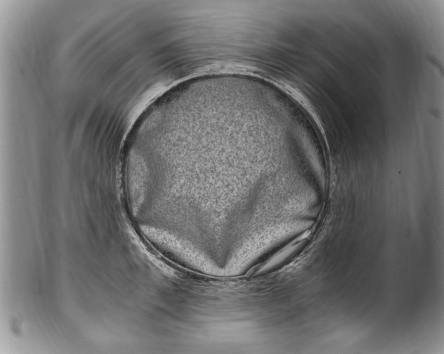X0000100420997200806201818