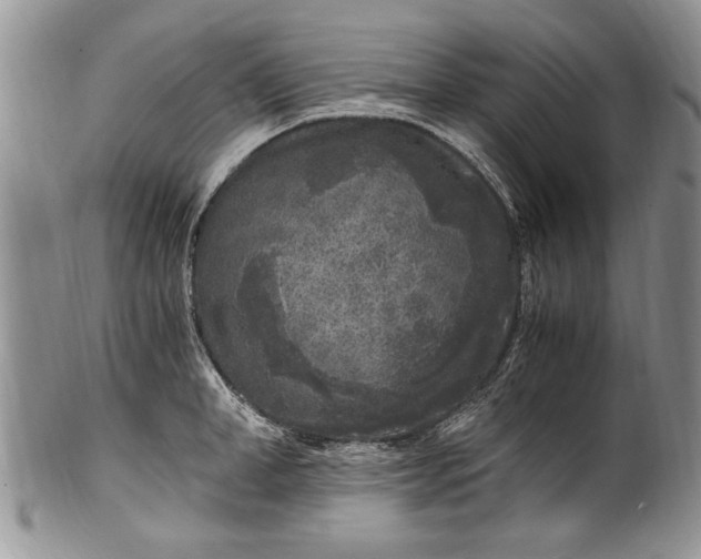 X0000100420998200806201818