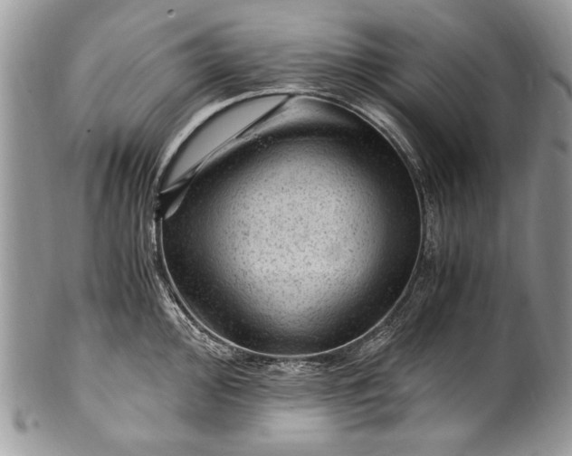 X0000100421000200806201818