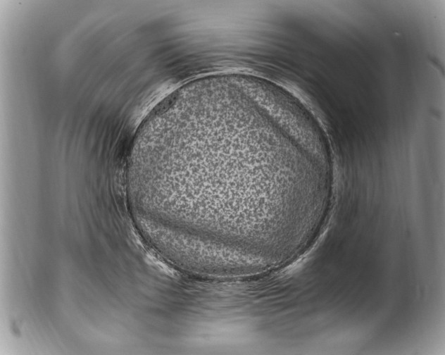X0000100421001200806201818