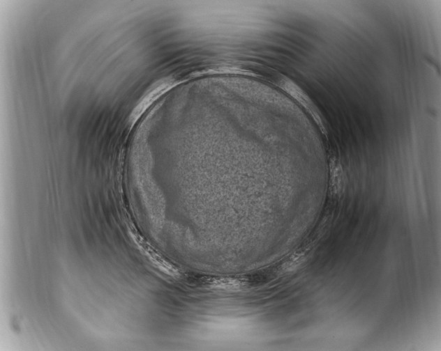 X0000100421002200806201818