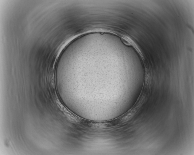 X0000100421004200806201818