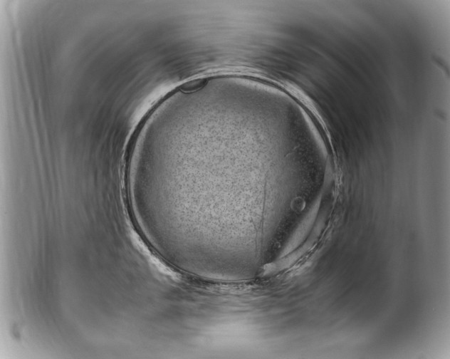 X0000100421005200806201818