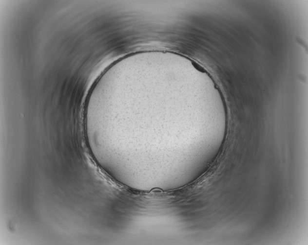 X0000100421008200806201818