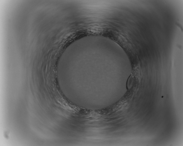X0000100421009200806201817