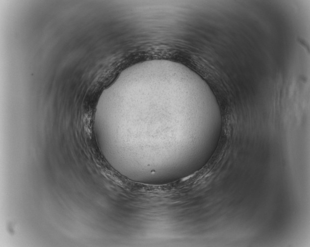 X0000100421010200806201817