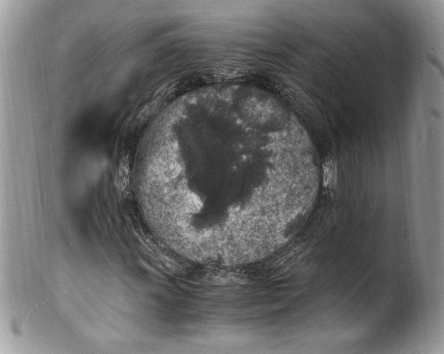 X0000100421011200806201817