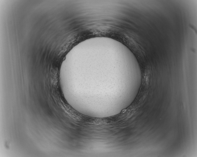 X0000100421012200806201817