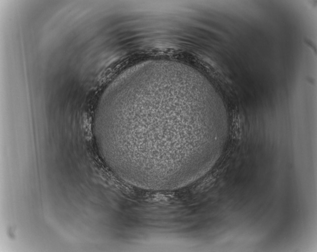 X0000100421013200806201817