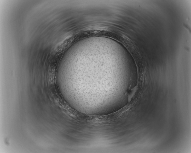 X0000100421014200806201817