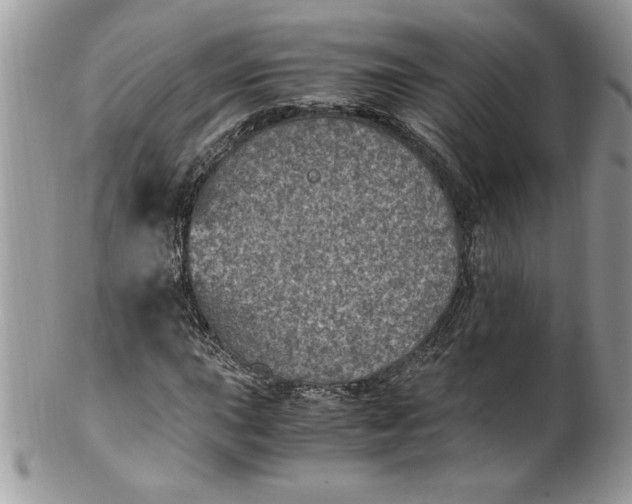 X0000100421015200806201817