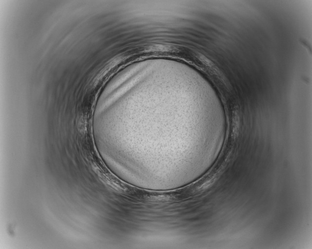 X0000100421017200806201817