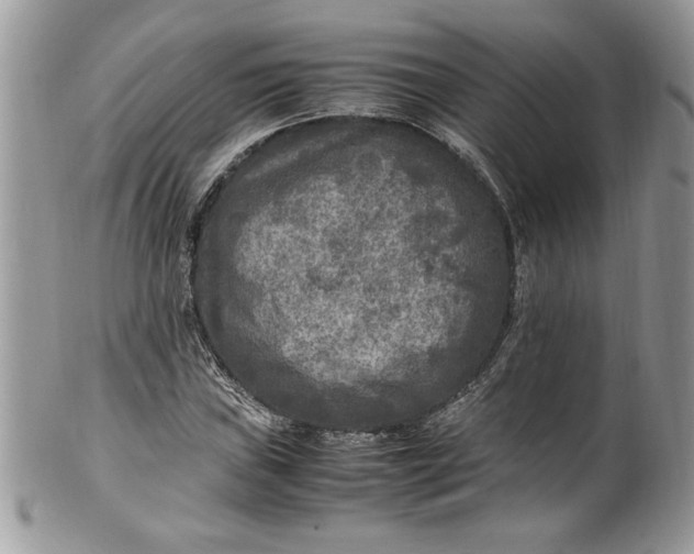 X0000100421019200806201817