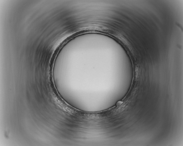 X0000100421020200806201817