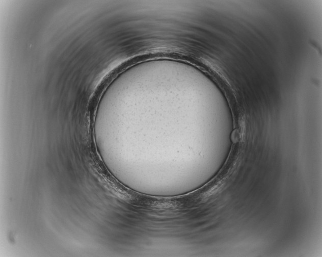 X0000100421021200806201817