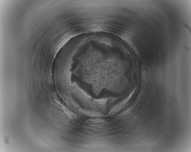 X0000100421023200806201818