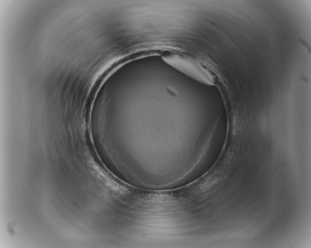 X0000100421024200806201818