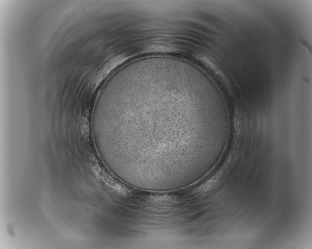 X0000100421025200806201818