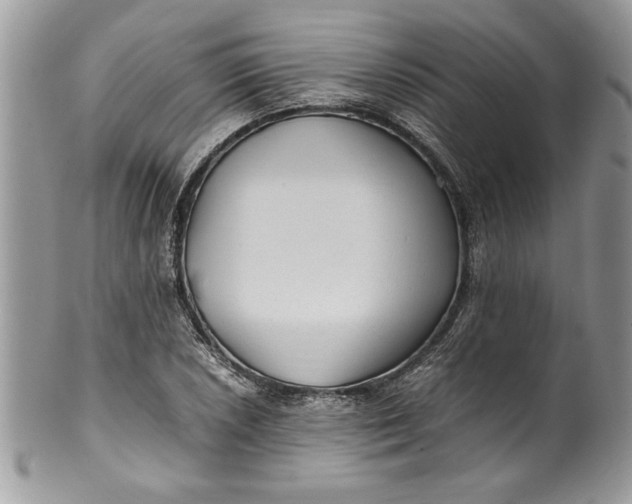 X0000100421026200806201818