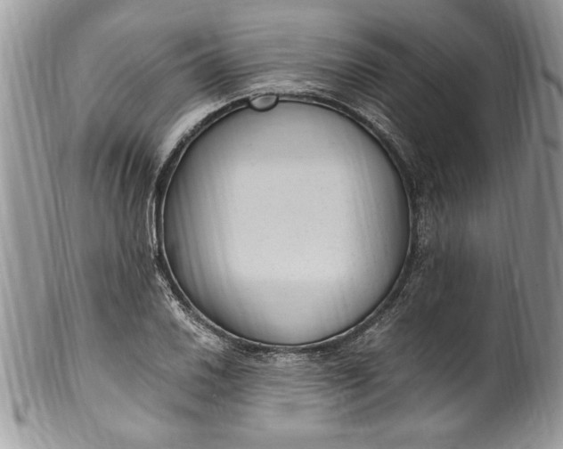 X0000100421030200806201818