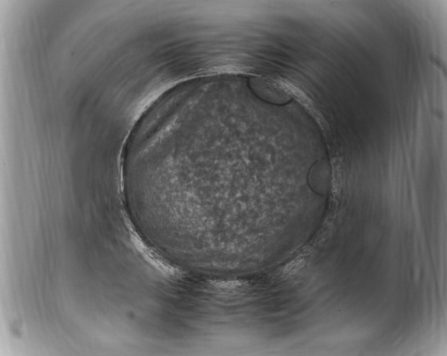 X0000100421031200806201818