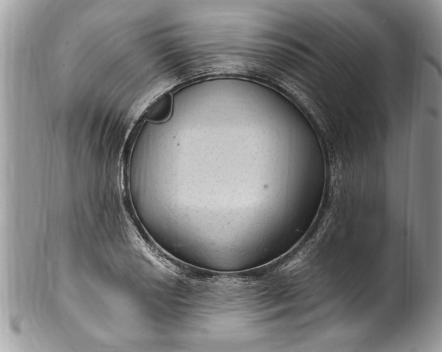 X0000100421034200806201818