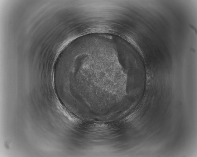 X0000100421035200806201818
