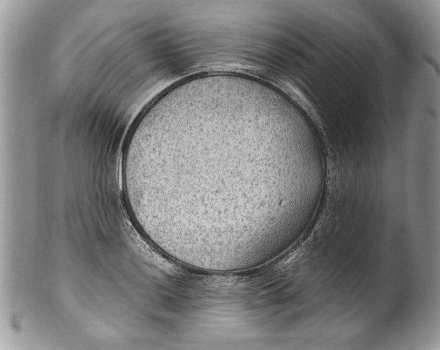 X0000100421036200806201818