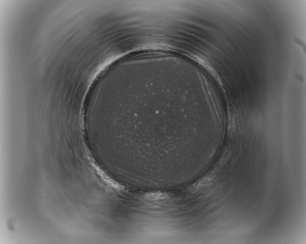 X0000100421037200806201818