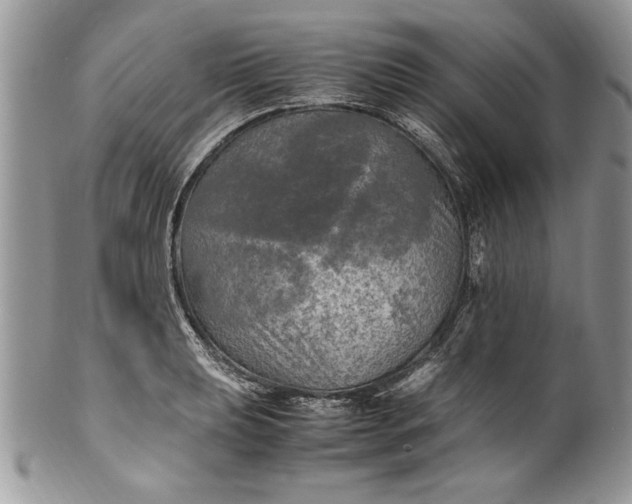 X0000100421039200806201818