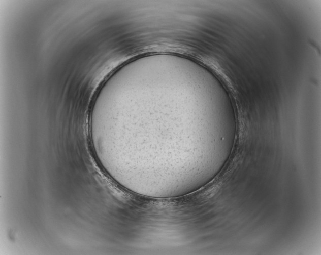 X0000100421040200806201818
