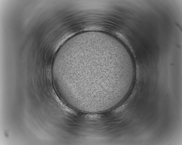X0000100421041200806201818