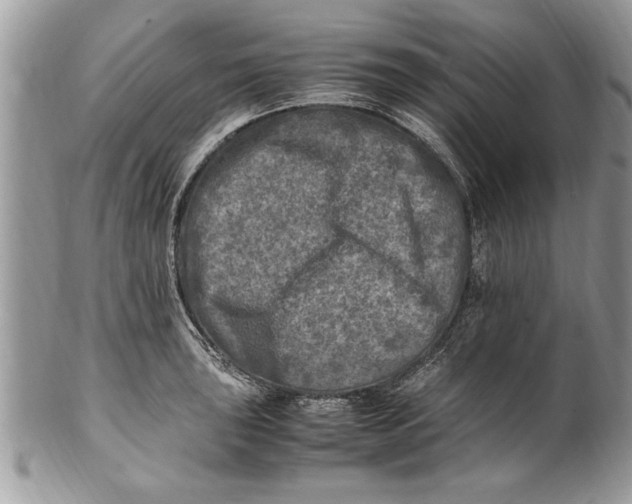 X0000100421043200806201818