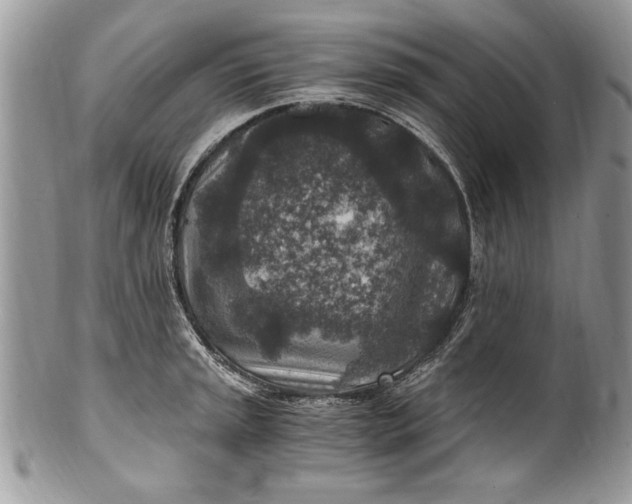 X0000100421045200806201818