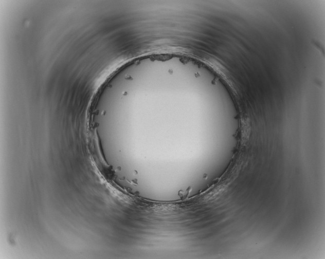 X0000100421046200806201818